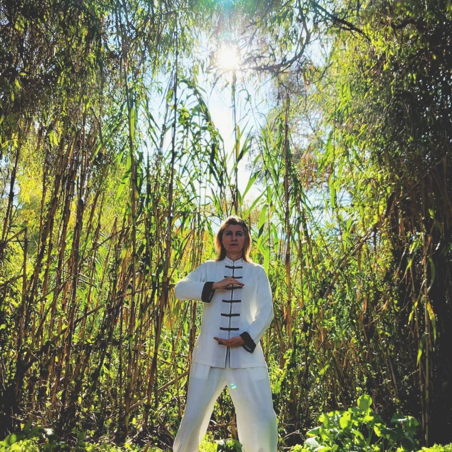 Chi Kung / Qi Gong en Sotogrande, Alcaidesa, La Línea, San Roque y Gibraltar